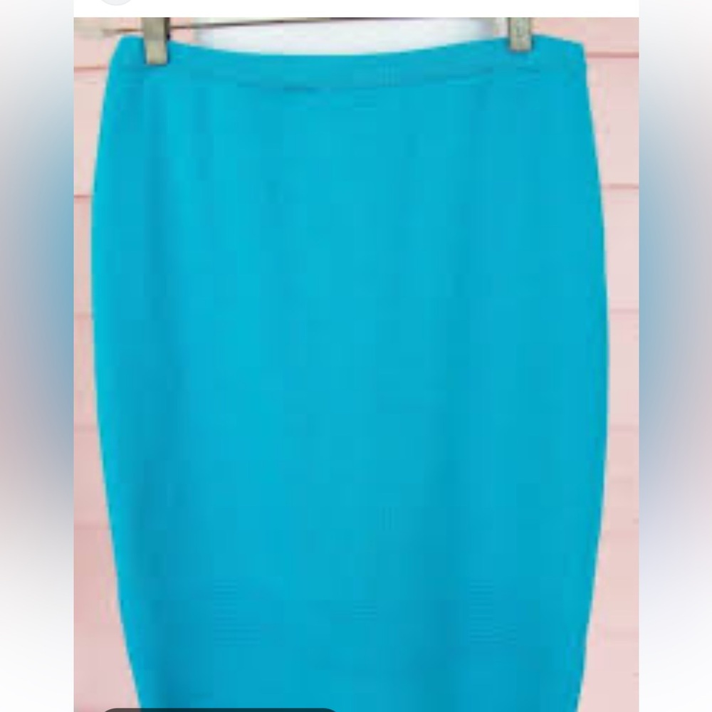 Peter England Aqua Pencil Skirt L